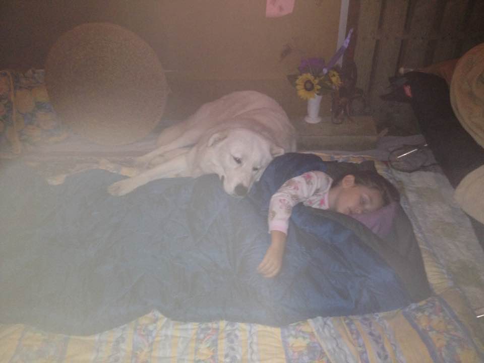 14725638_1352980871403071_5180560776569208387_n