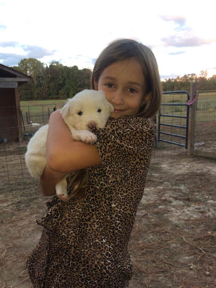 22815442_1769336069767547_4757259902466345921_n