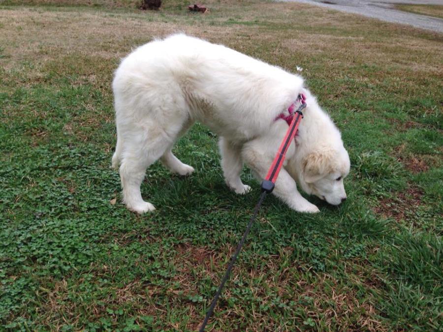 27657879_1895252093842610_4036774050383374335_n