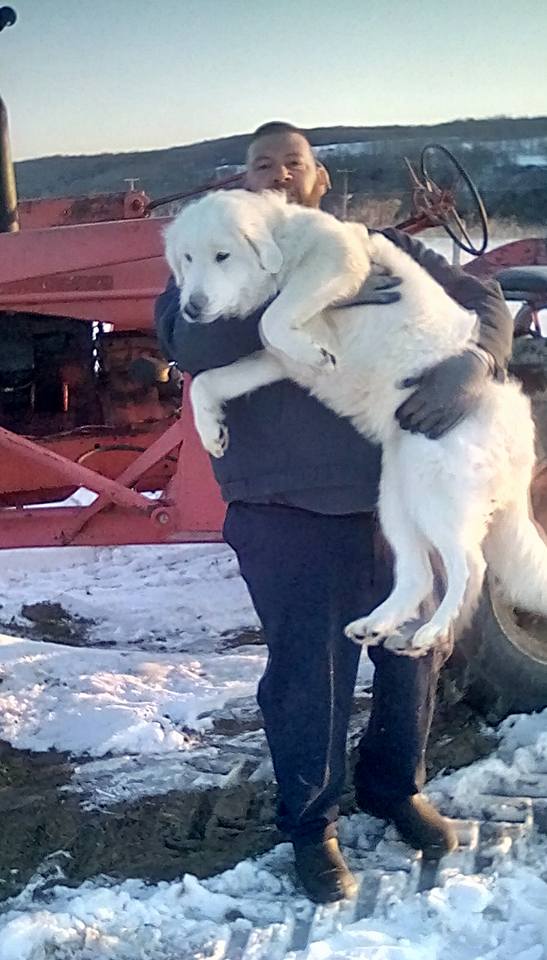 29356021_1429299720508859_6301113461479731999_n