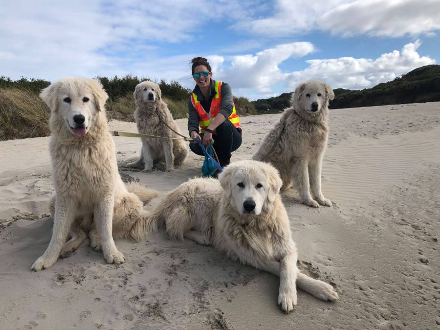 45027309_2198038840412441_1726333933936705536_o