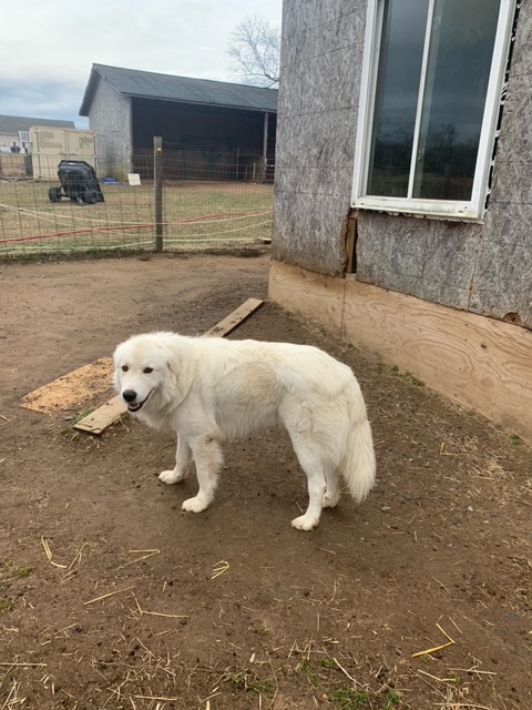 5435c8ab-a30f-409b-a020-a5a9cbb19602