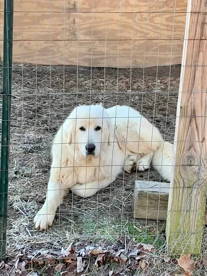 B8C03B8B-B61F-4AF6-9157-0925CEB3361C